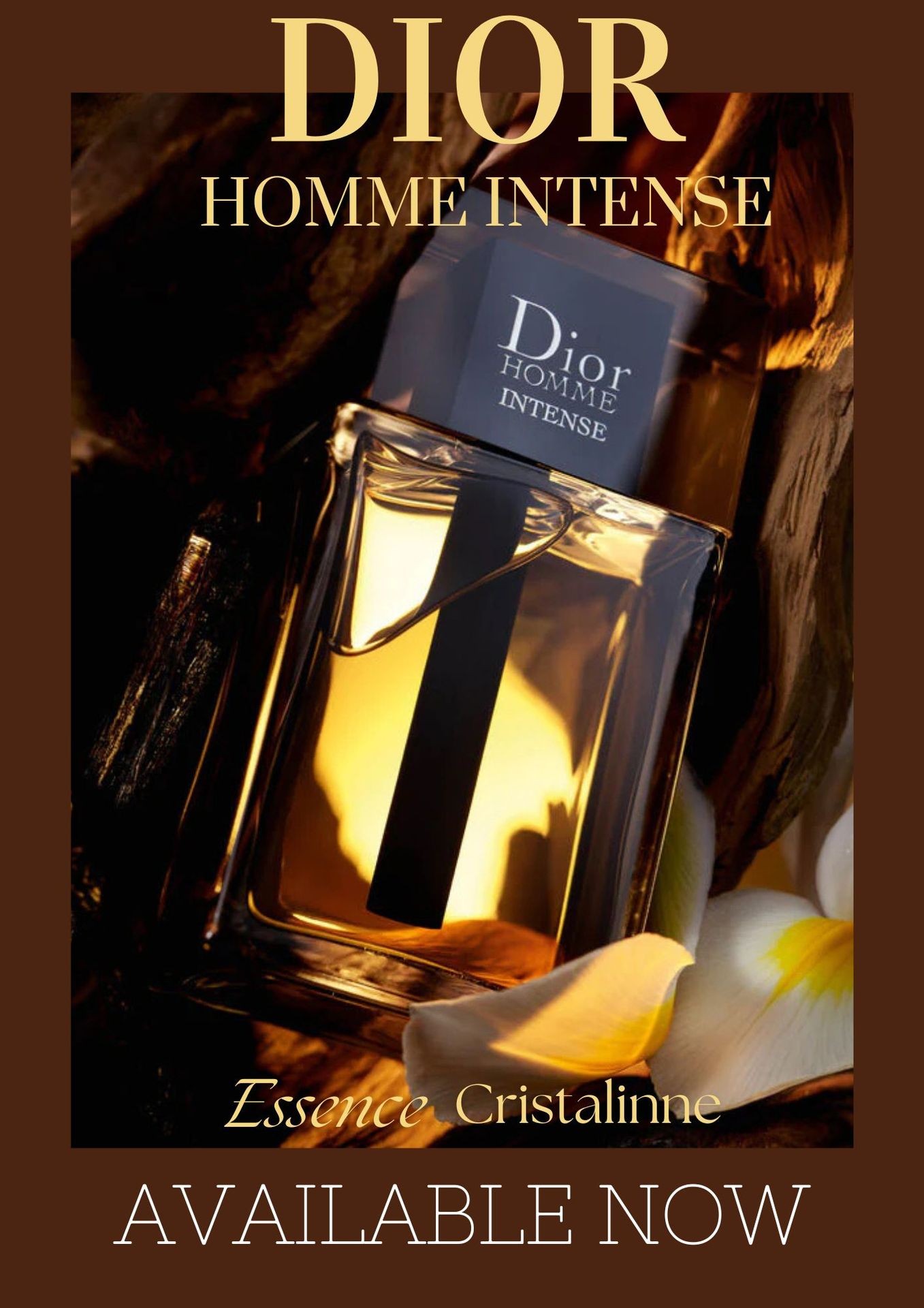 Dior Homme Intense